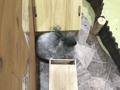 天保山アニパ