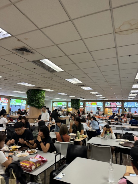 いわゆるフードコートでいろんなタイ料理の店があり、最後好きなタイ料理が食べれます。