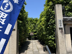 ＧＷの真っ只中、京都の有名処はどこも人人人、なので、あまり知られてなさそうなこちらのお寺を訪問。東福寺の駅から歩いて10分くらいで到着。予想通り人少ないです。お参りしてから境内でしばし休憩。
