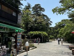 お昼どうしようかと話してて、妹と行った時のことがあるので、この辺りで食事処を探した方がよさそう。娘と来たときの店を思い出し行ってみることにしました。
https://ssl.4travel.jp/tcs/t/editalbum/edit/11445081/