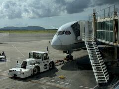 新石垣空港 (南ぬ島石垣空港)