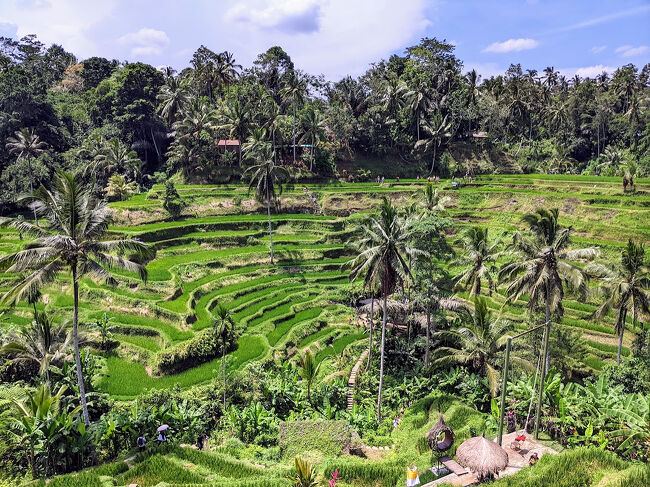 バリ島：ウブド4泊5日〈Day-2〉』バリ島(インドネシア)の旅行記