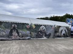 どんよりしていますが雨は降っていません
上野公園ではウエノデパンダ中秋節の催しが開催中でした