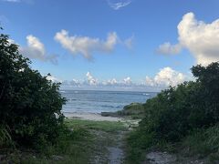 ●2024/9/06(土)

朝ご飯前に宮里海岸を散歩します