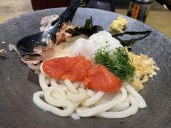 岡山駅に到着。在来線のホームに行ってみたら、日曜の夕方のせいなのか、春休み最終日のせいなのか、青春18切符最終日のせいなのか、理由はわかりませんが、リュックを背負った人々がホームにいっぱいいて電車待ちの長い列が。根性なしの私はすぐに心が折れ、青春18切符利用は断念して新幹線のチケットをネット購入したのでした。
新幹線乗車時間まで少々あり、駅ビルの飲食店案内を見たら讃岐うどんのお店を発見。すっかり讃岐うどんの口になっていた私は喜んで入店し、明太子おろしぶっかけうどん（ネギ抜き、冷）の並盛りを注文。やっと讃岐うどんが食べられました。満足。