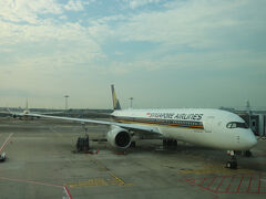 チャンギ国際空港で約7時間の乗り換えでラウンジでゆっくりしていましたがやっと出発です。