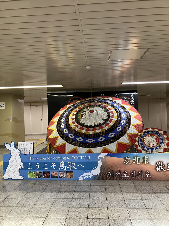 国宝5城を行く③（松江城）』松江・松江しんじ湖温泉(島根県)の旅行記