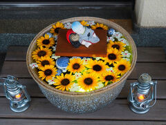 大長寺の花手水