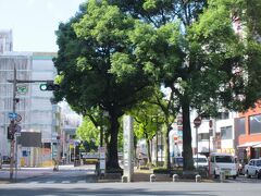 昨夜も訪れた高知市中央公園は緑が多いです。