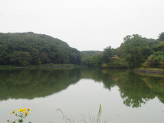 八丁湖（はっちょうこ）　江戸時代に作られた灌漑用の人造湖だそうです　虫が多かった