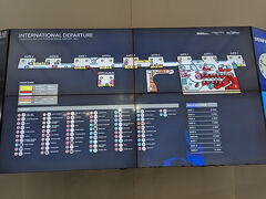 深夜便なので
ひとまずチャンギ空港まで

空港でガイドさんと別れて事故が。。
スーツケースが壊れる。鍵をかけても気がつくとオープン・・。
思えば去年のハワイでも同じことが起きたのであった

たぶん、たくさん入れると開いちゃうんだな
ってことで、大事なものは夫のスーツケースに入れ替えて
洗い物を予備でもっていったカバンに入れ替える

入れ替えてチェックイン