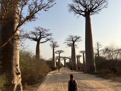 まだ日も高いのでお散歩。