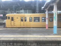 根雨駅で115系と交換


今度は18きっぷでこれに乗りに来たいですね。新型やくもも、減車と展望車廃止以外は納得の内容なんですが。。。。