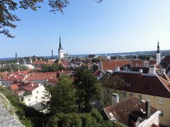 コフトウッツァ展望台Kovtuzza Vaateplatvormまでやってきました。
旧市街が一望できます。
統一感のある、本当にきれいな街ですね。