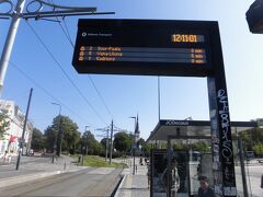 宿をチェックアウトし、バスターミナルへと向かいます。
バスターミナルはタリン駅から少し離れているので、トロリーバスを使用します。

ここで素敵な日本人ご夫妻と遭遇。
どっち方向に乗ればいいか確証の持てない私たちが、あっちかなこっちかなと言っていると、反対側ホームにいらっしゃる、私たちより少し年配のご夫妻が「どこまでいくんですか？」と声をかけて下さいました。バスターミナルへと言うと「あっていますよ」と教えてくださいました。ご夫妻が乗るトロリーバスが先に到着したので会釈をすると、窓越しににっこり微笑んで親指を立てて「グー」と。
ちょっとした気遣いが有り難く、このような行動が出来るようになりたいものよと思ったタリン最終日でした。