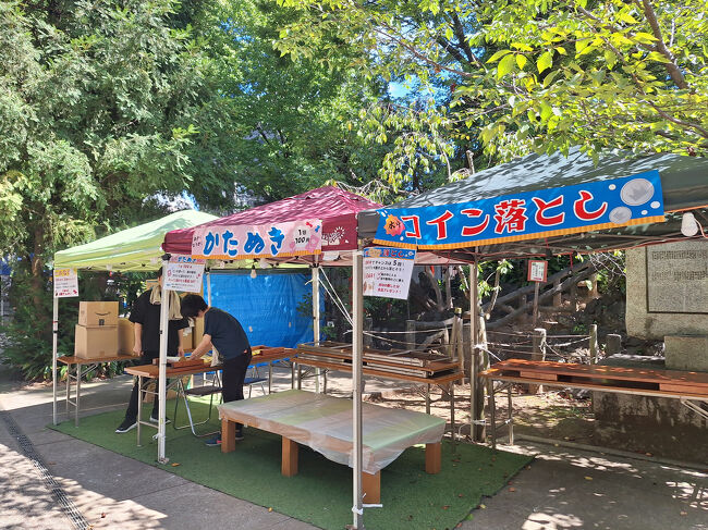 お祭りがあるようです