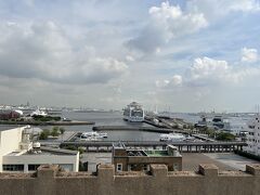 そして、さきほどまで乗っていたダイヤモンドプリンセスの姿も眺められました。