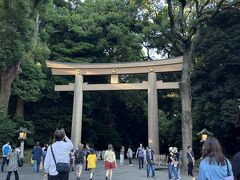 まだ少し時間があったので、腹ごなしに明治神宮の散策へ。

原宿駅からすぐの鳥居。