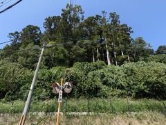 JRから眺めると小さな森にしか見えなかったが、目の前まで来るとかなり大きな古墳だと実感できます。