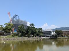 興福寺五重塔は修復工事中。
やはり猿沢池から見えないとさびしい。