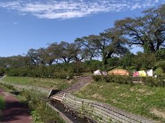 その前にもう一度橋を戻って白石川千本桜公園へ