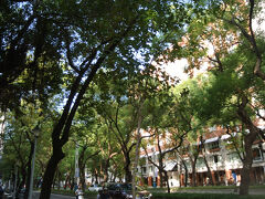 公園を後にして、中山北路を北へ歩いて行くと、街路樹が続く雰囲気のいいエリアになります。