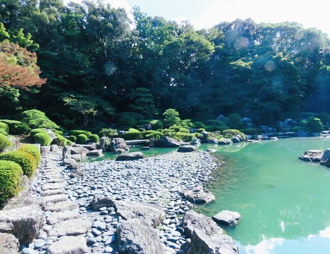 日本の風景　自然公園50周年記念 日本の風景―自然公園50周年記念・国立公園写真集 (1981年) |本