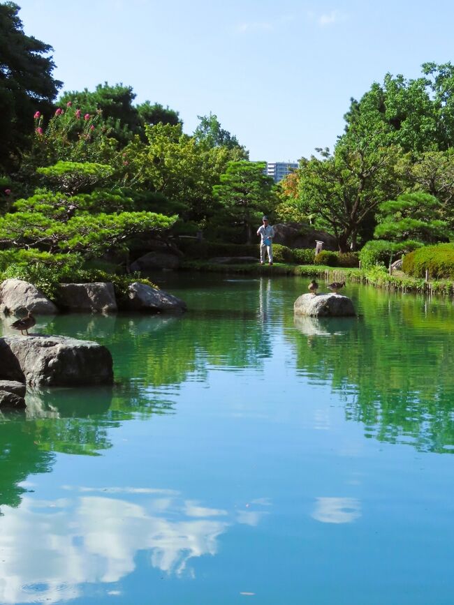 福岡25 大濠公園a 日本庭園 〔築山林泉廻遊式：枯山水庭