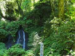 　途中「白玉の滝」(   https://niigata-kankou.or.jp/experience/13448   )に立ち寄りました。
ここの滝ではある有名な行事(白玉の滝 寒篭り)があります。

＜資料＞

極寒の時期に、滝打たれ愛好家が集い、滝打たれを行います。
金津丘陵にあるこの滝は、四季を通じて地元の人々から親しまれています。
順徳天皇の時代(1210～21)からその存在が知られ、かつては山伏の修行の地であったとも言われています。