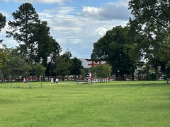ここも世界遺産。
上賀茂神社の方が大きいのかな。（正しくは知らないです。）
今知ったけど、下鴨と上賀茂、「カモ」が違うのですね。