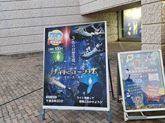 ナイトミュージアムへ。