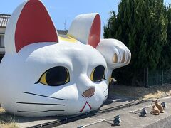 見つめあってる