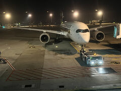 さて翌日、シンガポールトランジットで帰国です。

朝５時過ぎのシンガポール航空A350-900便でまずはシンガポール、そしてシンガポールのオフィスを訪ね、その日の夜、なんと夜中１時のフライトでシドニー帰国。夜中１時に起きて次の日の夜中１時まで２４時間眠れないという最悪のコースを取ってしまった。

更年期のくせに自分は大丈夫と過信してたんか？後でこのフライトチョイスを後悔する事に。。。