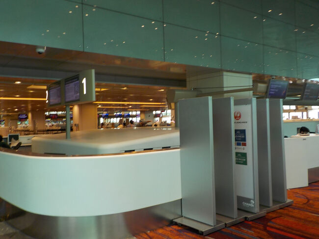 JALは１番カウンターです。これは始まる前に撮りました。<br />並ぶのは、もっと先です。<br /><br />ビジネスクラスのレーンに並びます。応対の方が外国人、英語がわからないので、日本人の方にお願いしました。<br />食物アレルギーが多いので、それについての英語でのやり取りができません。いつも時間がかかります。<br />