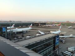 日にちによって、飛行機はJALかカンタスかのどちらか。
せっかくならカンタスに乗ってみたかったところだけど、今回はJAL。

搭乗まで屋上の展望デッキへ。
いつもの第1ターミナルから眺めてたターミナルからの景色。新鮮!!