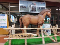 とかち帯広空港に到着。