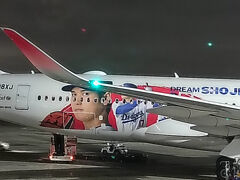 帰りの羽田空港で
「大谷翔平ジェット」を見かけたのは
ご褒美だと思っておこう
　
　
さて 次は
どんなテーマで 全国を旅しようか
　
それを考えるのも また楽しい
　
　
おしまい
　
