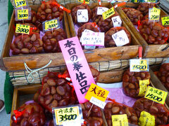 篠山食料品店

こんなに栗を見たのは初めて。