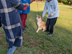 千秋公園では秋田犬と触れ合います