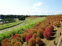 国営ひたち海浜公園