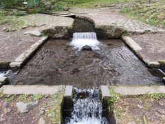 水のあるところ大好き人間の私。