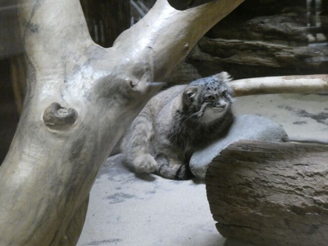 時々顔を上げてくれるので。