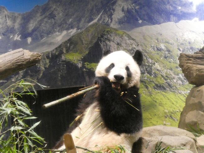 嚙み締めたりで、やっとお顔を見せてくれて