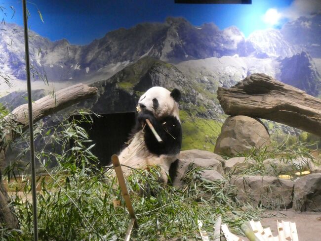 その様子を遠目から。