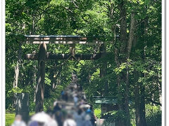 そして
戸隠神社奥社の駐車場に到着

観光バスも続々と到着していて
そのツアー客についていけば正解でしょと
紛れて進む