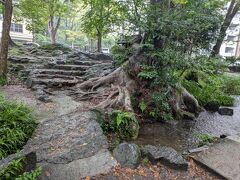 白滝公園を抜けてホテルへ戻りました。

富士山の溶岩で出来た地形を湧水が流れる独特の風景です。
ここの流れもあくまでも清冽。
市街地の真ん中にこの風景・・素敵な土地だな。
