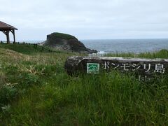 空港でレンタカーの手続きを済ませ、最初に向かったのは富士野園地
なんでも、エゾカンゾウの群生地だとか…
