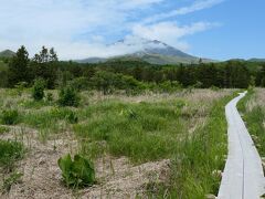 ところが、ここがべらぼうに面白いのだ
湿原特有の植生で、実に多種多様な植物に出会える

湿原の中の木道、視線の先にそびえる利尻山
その風景はまるで尾瀬ヶ原