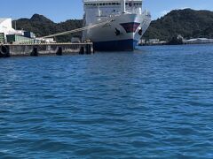 今日は1日ツアーの予定です！
8:30 集合場所から船に乗り込み、まずはイルカに会いに行きます！

港には竹芝から乗ってきたおがさわら丸がいます。