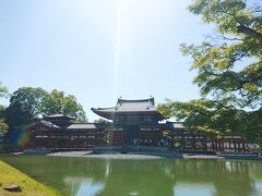 真正面に回ってきました。
うーん、逆光。
10円玉と一緒に撮ってみましたが、どっちかがボケてしまって上手くいきませんでした。